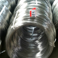 長期供應(yīng)優(yōu)質(zhì)美標(biāo)304 2.0MM不銹鋼彈簧絲 SUS304