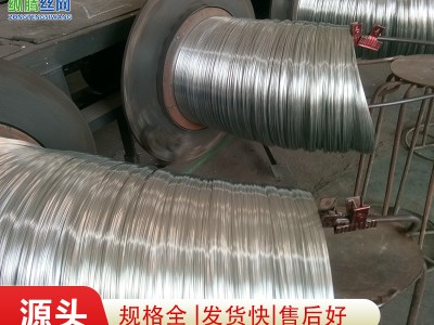 廠家批發(fā)0.45mm 0.5mm 0.55mm口罩鼻梁絲 不銹鋼絲 口罩鍍鋅鐵絲