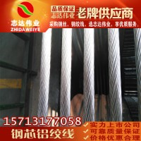 廠家供應(yīng)JLB30A-100系列鋁包鋼芯鋁絞線