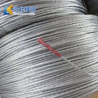 水果蔬菜大棚骨架用鍍鋅鋼絲鋼絞線 標(biāo)準(zhǔn)鍍鋅鋼絞線多型號可選