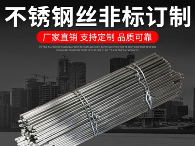 廠家批發(fā) 304不銹鋼異型絲 不銹鋼絲非標訂制 規(guī)格齊全