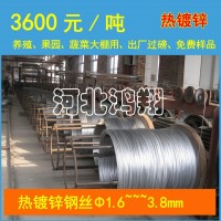 供應(yīng)鋁絞線用鍍鋅鋼絲/熱鍍鋅鋼絲/鋼絲直徑1.4mm-3.8mm