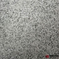 玖磊芝麻黑板材 花崗巖芝麻黑板材規(guī)格加工荔枝面黑色板材價(jià)格