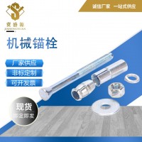 機械錨栓 304 316不銹鋼化學(xué)錨栓 械錨栓 后擴式錨栓