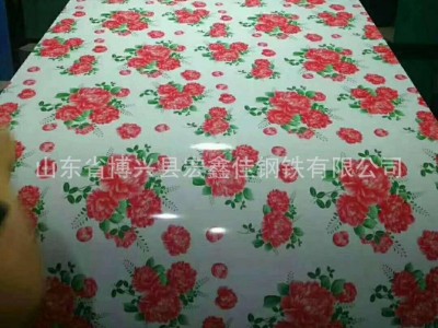 印花彩鋼板彩色花紋板 花型多樣裝飾板 衣柜印花板出口印花開平板