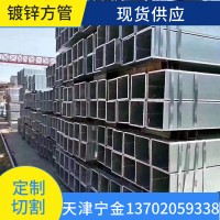 現(xiàn)貨 鍍鋅方管鍍鋅帶方矩管立柱大棚管100*100各規(guī)格型號(hào) 可切割