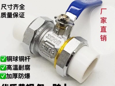 廠家批發(fā) PPR雙活接球閥 銅球銅桿活接黃銅閥門DN20 25 32 40 50