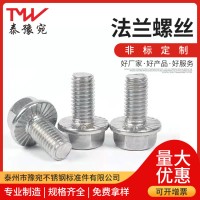 316L304不銹鋼六角法蘭面螺栓M8M6M10非標(biāo)法蘭螺絲定制GB5789平腦