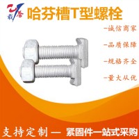 熱鍍鋅T形螺栓 道岔專(zhuān)用T型墊板螺栓 哈芬槽T型螺絲幕墻預(yù)埋件