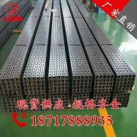 廠(chǎng)家直銷(xiāo) 41*41*2.5 熱鍍鋅c型鋼配件齊全 沖孔c型鋼量大 從優(yōu)